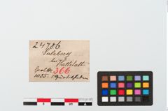 Etiketten zu Bronzegürtelhaken (NHMW-PRAE-024786)